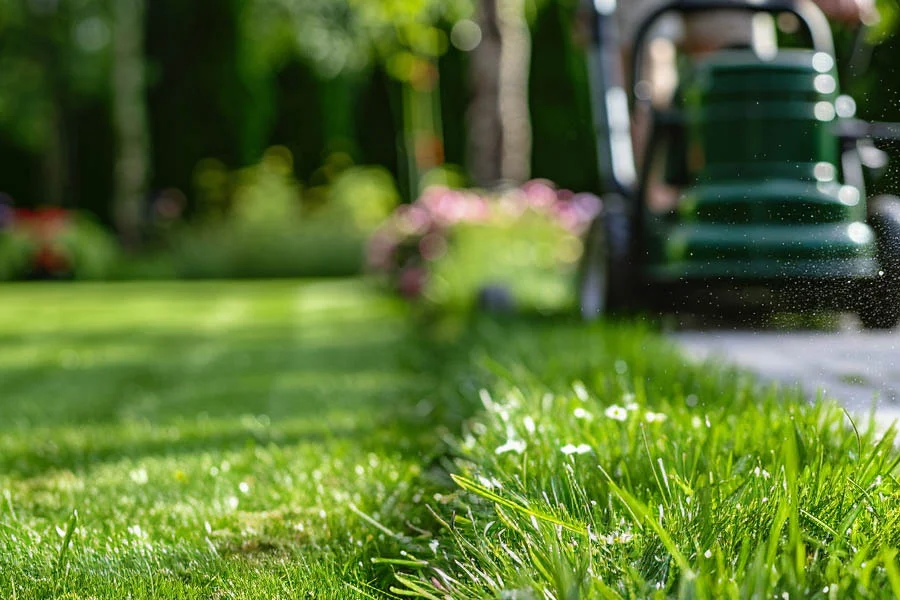 lightweight electric lawn mower